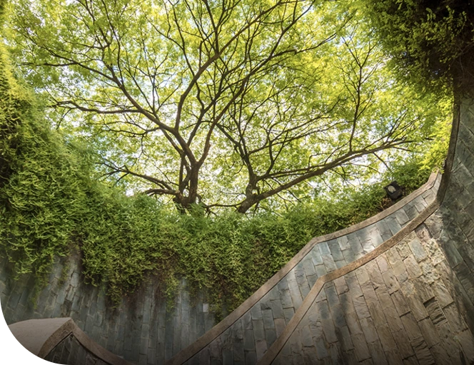 Fort Canning Park near Union Square Residences