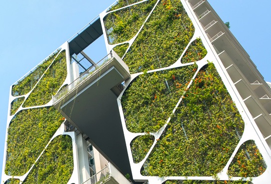 2023/03/tree-house-green-innovations-new.jpg
